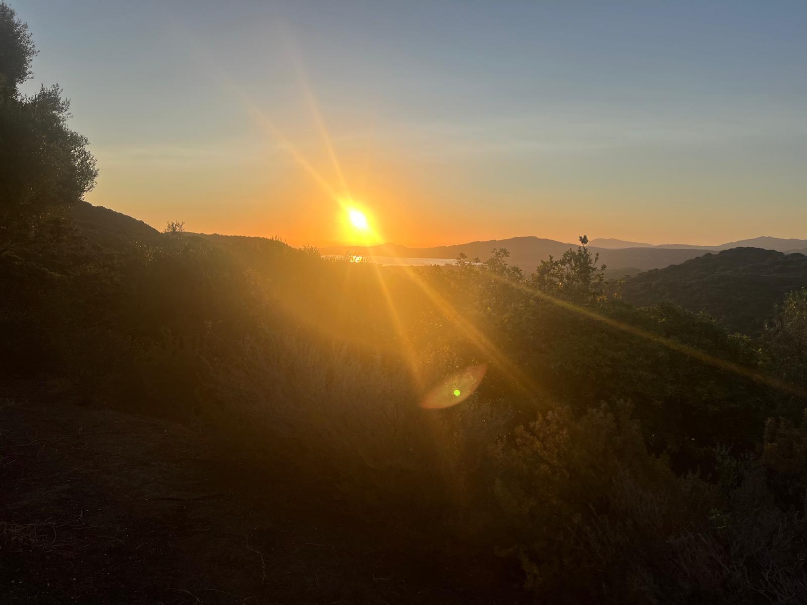 Über uns - Three Cypress House